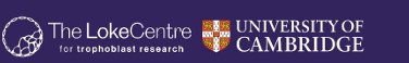 Loke Centre for Trophoblast Research funded PHD Studentship