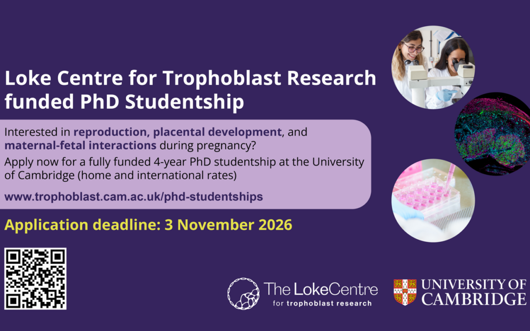 Loke CTR PhD Studentship opportunity